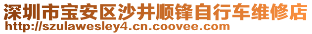 深圳市寶安區(qū)沙井順鋒自行車維修店