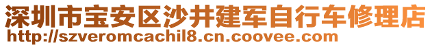 深圳市寶安區沙井建軍自行車修理店
