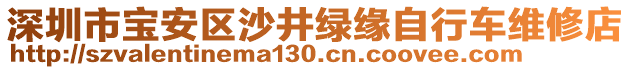 深圳市寶安區(qū)沙井綠緣自行車維修店