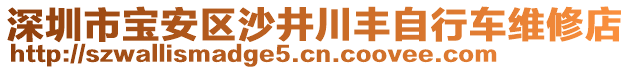 深圳市寶安區(qū)沙井川豐自行車維修店