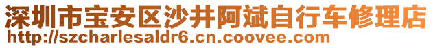 深圳市寶安區(qū)沙井阿斌自行車修理店