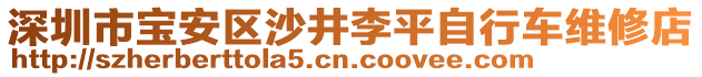 深圳市寶安區(qū)沙井李平自行車維修店