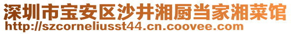 深圳市寶安區(qū)沙井湘廚當家湘菜館