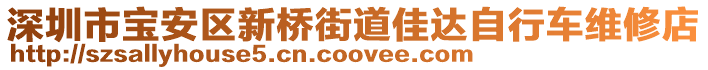 深圳市寶安區(qū)新橋街道佳達(dá)自行車(chē)維修店