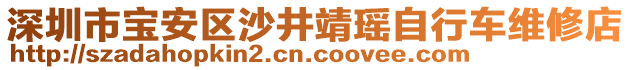 深圳市寶安區(qū)沙井靖瑤自行車維修店