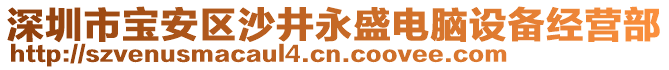 深圳市寶安區(qū)沙井永盛電腦設(shè)備經(jīng)營部