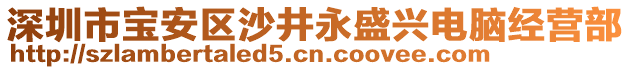 深圳市寶安區(qū)沙井永盛興電腦經(jīng)營部