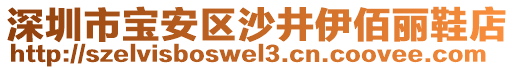 深圳市寶安區沙井伊佰麗鞋店