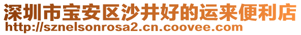 深圳市寶安區(qū)沙井好的運(yùn)來便利店