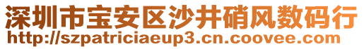 深圳市寶安區(qū)沙井硝風數(shù)碼行