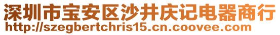 深圳市寶安區(qū)沙井慶記電器商行