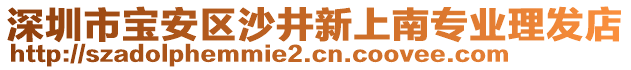 深圳市寶安區(qū)沙井新上南專業(yè)理發(fā)店