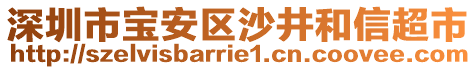 深圳市寶安區(qū)沙井和信超市