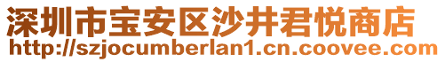 深圳市寶安區沙井君悅商店