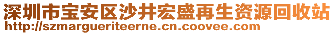 深圳市寶安區(qū)沙井宏盛再生資源回收站
