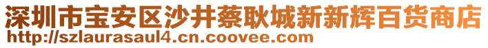 深圳市寶安區(qū)沙井蔡耿城新新輝百貨商店