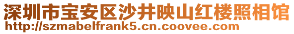 深圳市寶安區(qū)沙井映山紅樓照相館