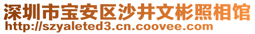 深圳市寶安區(qū)沙井文彬照相館