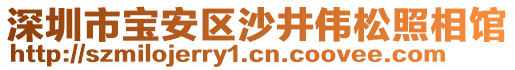 深圳市寶安區(qū)沙井偉松照相館