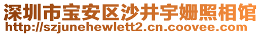 深圳市寶安區(qū)沙井宇姍照相館