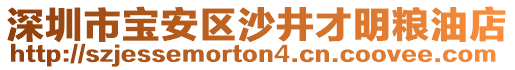 深圳市寶安區(qū)沙井才明糧油店