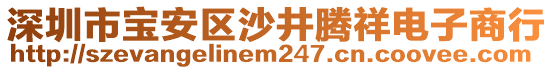 深圳市寶安區(qū)沙井騰祥電子商行