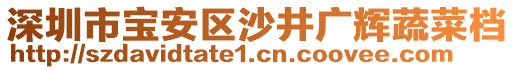 深圳市寶安區(qū)沙井廣輝蔬菜檔