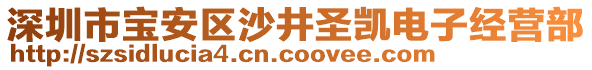 深圳市寶安區(qū)沙井圣凱電子經(jīng)營(yíng)部