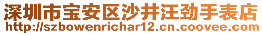 深圳市寶安區(qū)沙井汪勁手表店