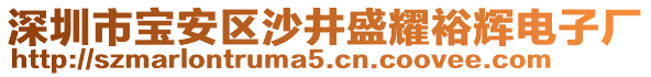 深圳市寶安區(qū)沙井盛耀裕輝電子廠