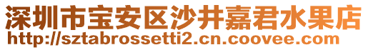 深圳市寶安區(qū)沙井嘉君水果店