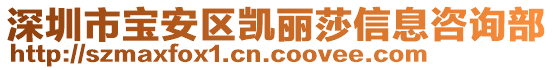 深圳市寶安區(qū)凱麗莎信息咨詢部