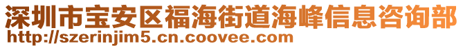 深圳市寶安區(qū)福海街道海峰信息咨詢部