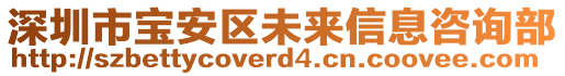 深圳市寶安區(qū)未來信息咨詢部