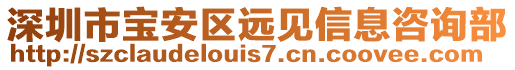 深圳市寶安區(qū)遠(yuǎn)見信息咨詢部