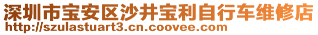 深圳市寶安區(qū)沙井寶利自行車維修店