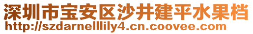 深圳市寶安區(qū)沙井建平水果檔