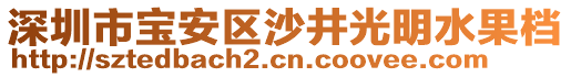 深圳市寶安區(qū)沙井光明水果檔