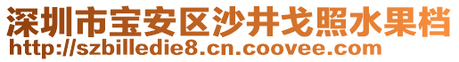 深圳市寶安區(qū)沙井戈照水果檔