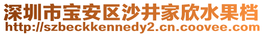 深圳市寶安區(qū)沙井家欣水果檔