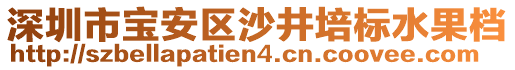 深圳市寶安區(qū)沙井培標(biāo)水果檔