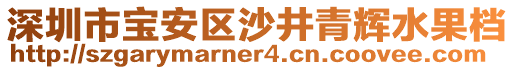 深圳市寶安區(qū)沙井青輝水果檔