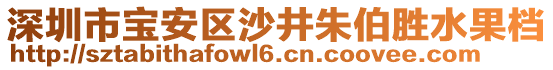 深圳市寶安區(qū)沙井朱伯勝水果檔