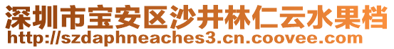 深圳市寶安區(qū)沙井林仁云水果檔