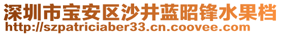 深圳市寶安區(qū)沙井藍(lán)昭鋒水果檔