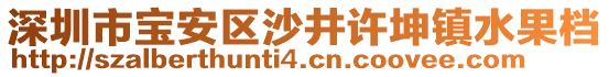 深圳市寶安區(qū)沙井許坤鎮(zhèn)水果檔