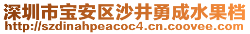 深圳市寶安區(qū)沙井勇成水果檔