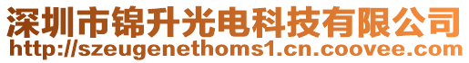深圳市錦升光電科技有限公司