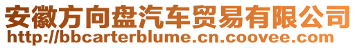 安徽方向盘汽车贸易有限公司