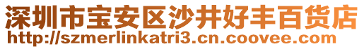 深圳市寶安區(qū)沙井好豐百貨店